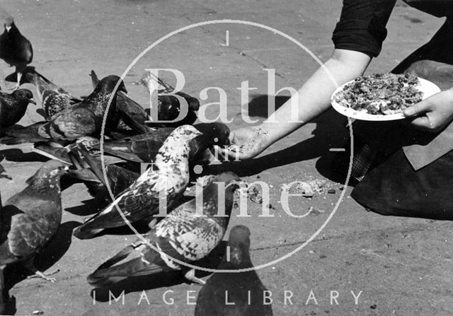 Feeding scraps of food to the pigeon population in Bath 1942