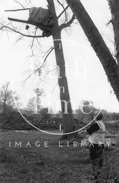 A tree top protest trying to save the tree they are living in, Batheaston/Swainswick Bypass 1994