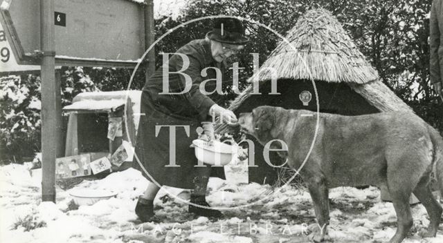 Winston the dog at Leigh Park crossroads, Bradford-on-Avon, Wiltshire 1976