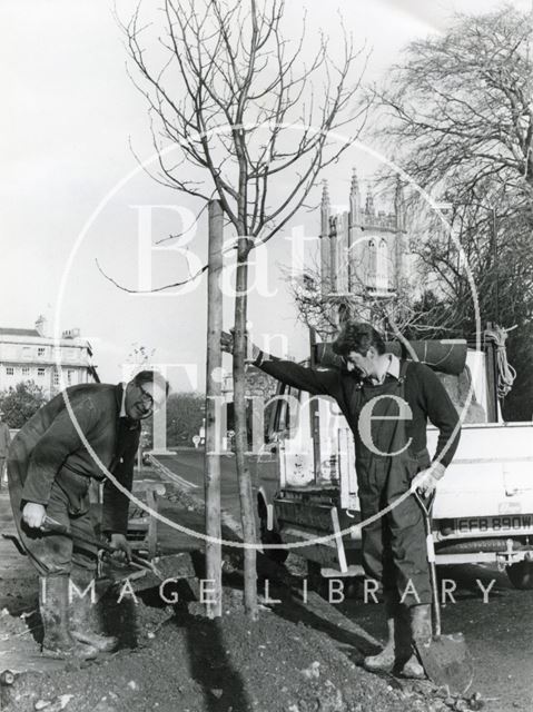 Tree planting in Pulteney Road, Bath 1982