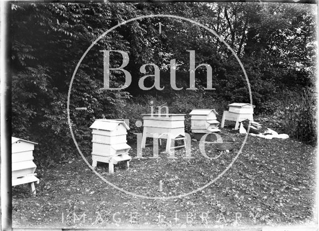 Bee hives in an unidentified garden, c.1930s