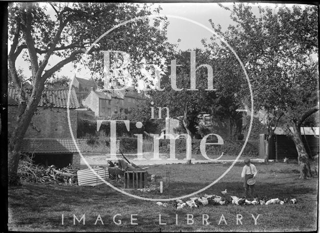 Feeding the chickens in Wellow c.1930s