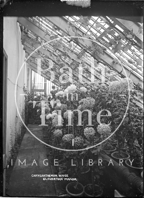 Chrysanthemum House, Claverton Manor, c.1930s