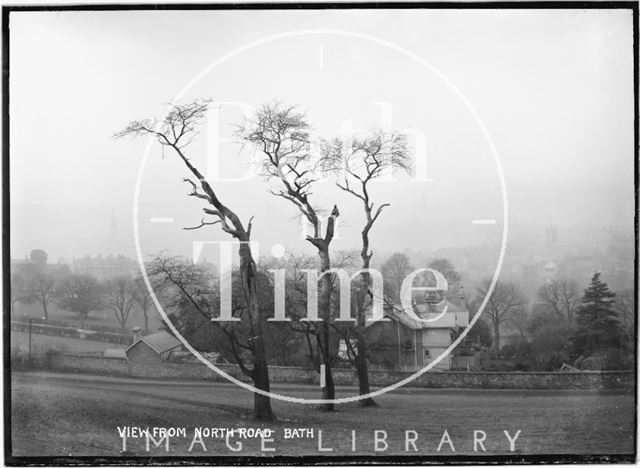 View of Bath from North Road with study of trees, c.1908