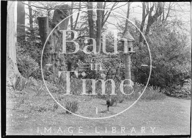 Batheaston House, back garden, 1922 / 1923