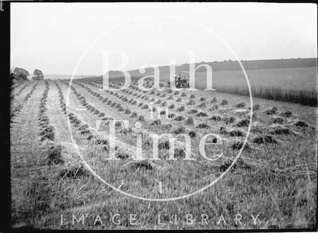 Harvesting corn with tractor, c.1920s