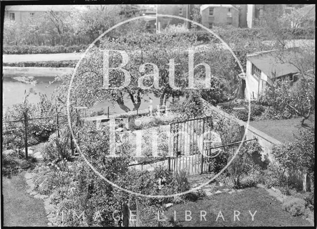 The rear garden of No 31 Sydney Buildings c.1952