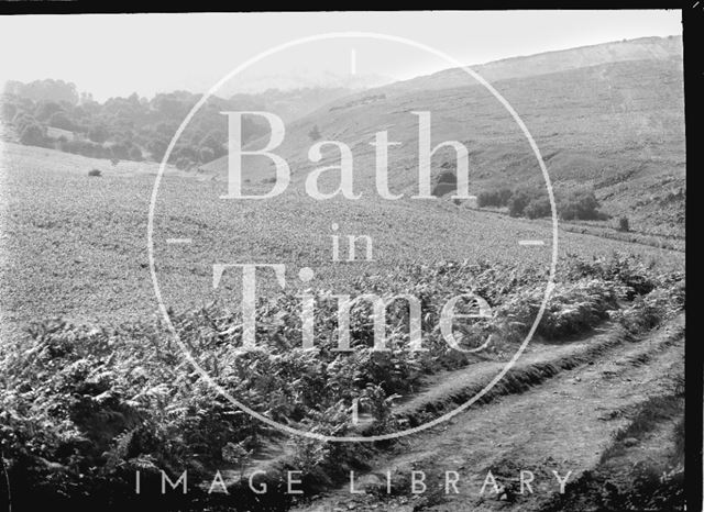 Unidentified Landscape, possibly Exmoor? c.1920s