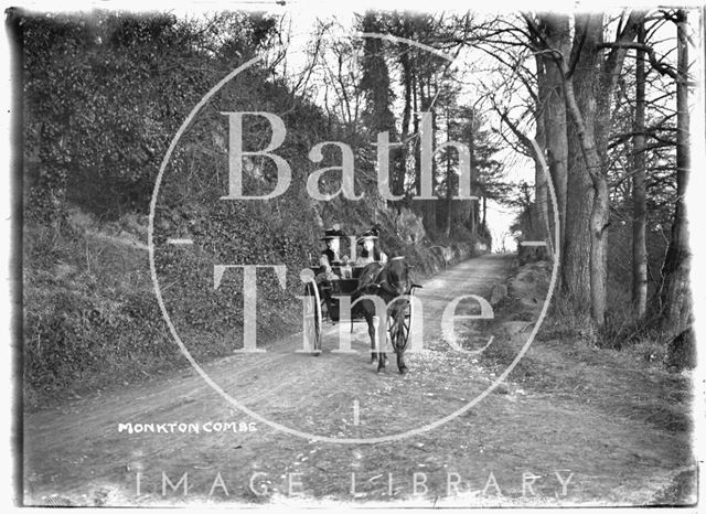 Horse-drawn Carriage, Monkton Combe 1911