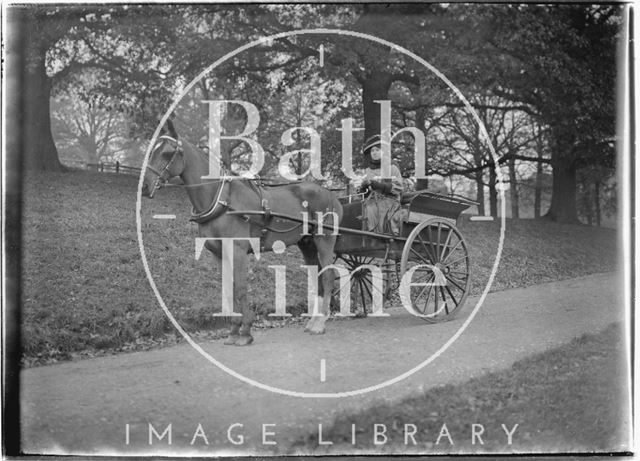 Horse-drawn Carriage, Monkton Combe 1910