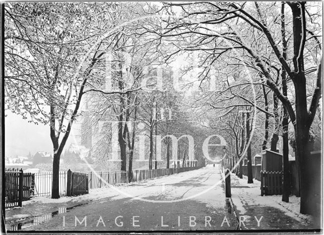 The tree lined road leading to North Parade Bridge, Bath 1908