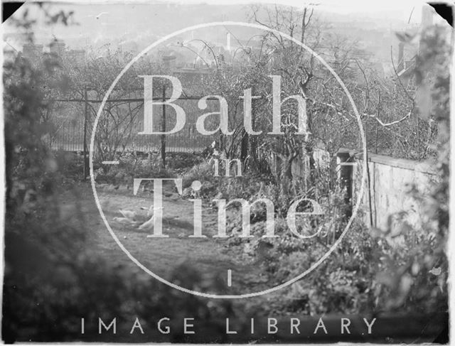 Back garden, 32, Sydney Buildings, Bath c.1920