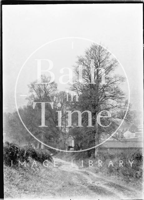 Country Lane from the Downs to Bathampton c.1907