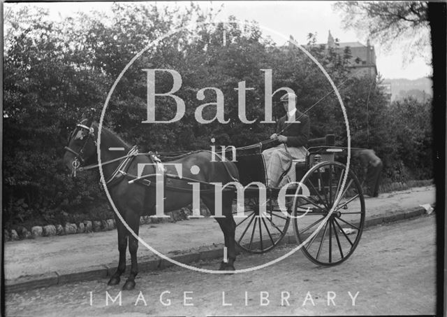 Mr. Broadhurst and his pony and trap, Bath c.1910