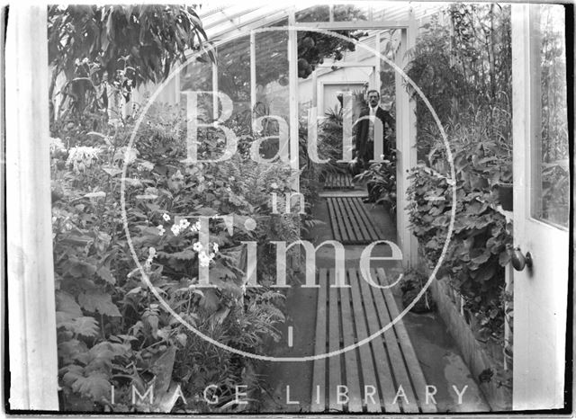 Gardener inside an unidentified greenhouse c.1915