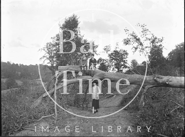 The photographer's wife and twin boys and a fallen down tree c.1920