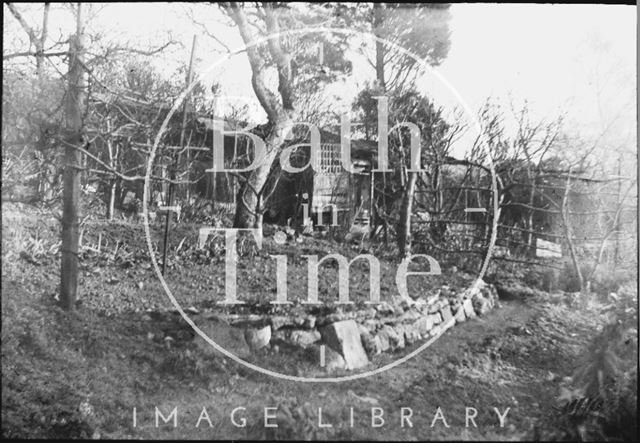 The photographer's garden over the road from 32, Sydney Buildings, Bath c.1950