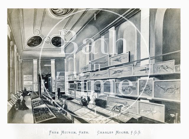 The Charles Moore room at the Bath Royal Literary and Scientific Institution c.1860?