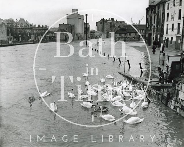 Children feed an eyrar of swans at Broad Quay, Bath 1960