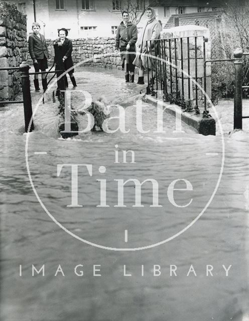 A group of people standing with their dog watching the flood waters, Spa Lane, Larkhall, Bath 1960?