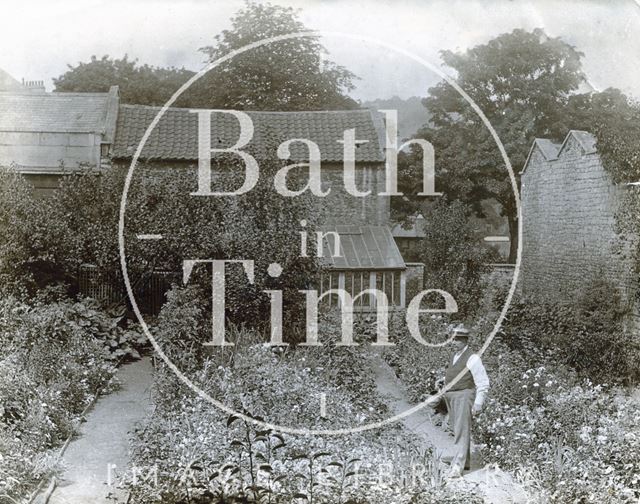 This is thought to be Mr. Bence of Batheaston, possibly in the smallholding behind his home at Batheaston Post Office c.1890