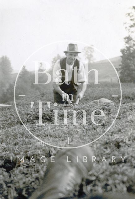 Frank Godwin, Head Gardener at St. Catherine's Court, trimming the yew hedge c.1940