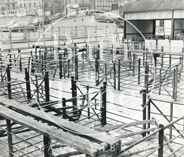 Cattle pens in the cattle market, Walcot Street, Bath 1970