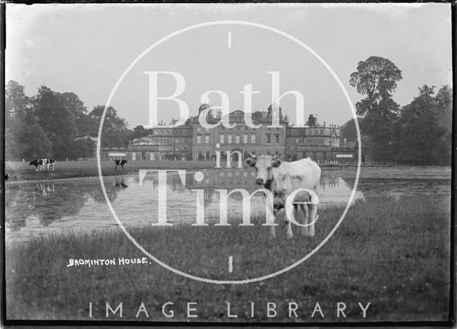 Badminton House with a cow in foreground, Gloucestershire c.1935