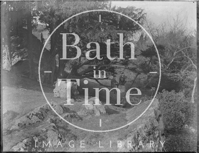 The photographer's twin boys perch on a branch at Hampton Rocks, Bathampton c.1920