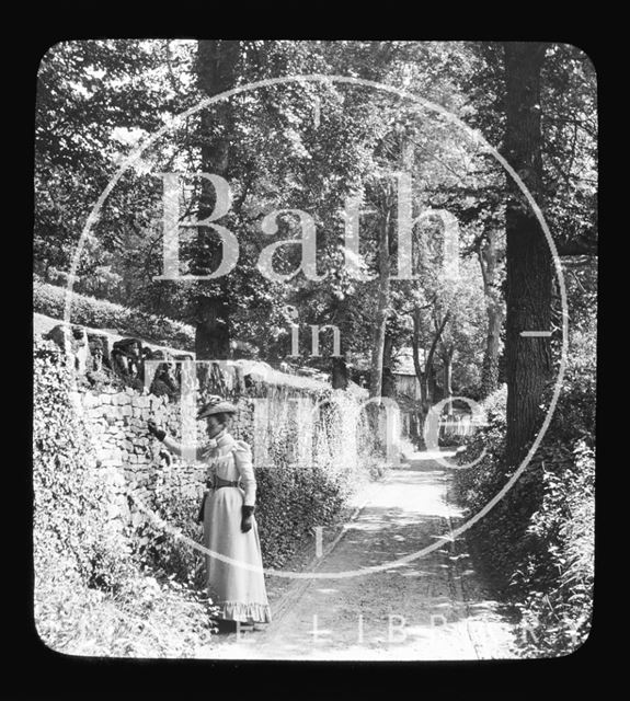 Titled 'A Shady Lane' a woman poses beside a wall on an unidentified lane c.1892