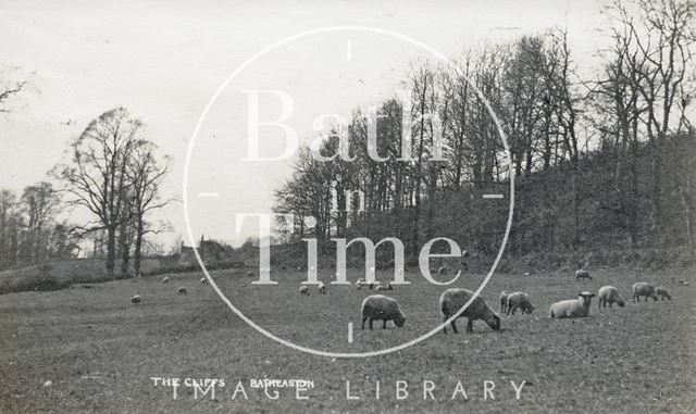 Sheep grazing on the Cliffs, Batheaston, posted 1917