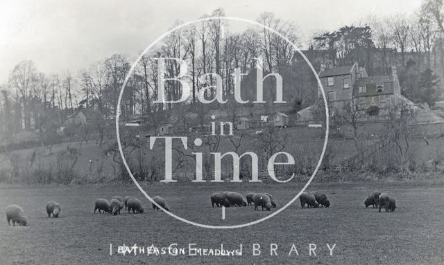 Sheep grazing on Batheaston Meadows with London Road West and Bailbrook House lurking behind in the trees c.1910