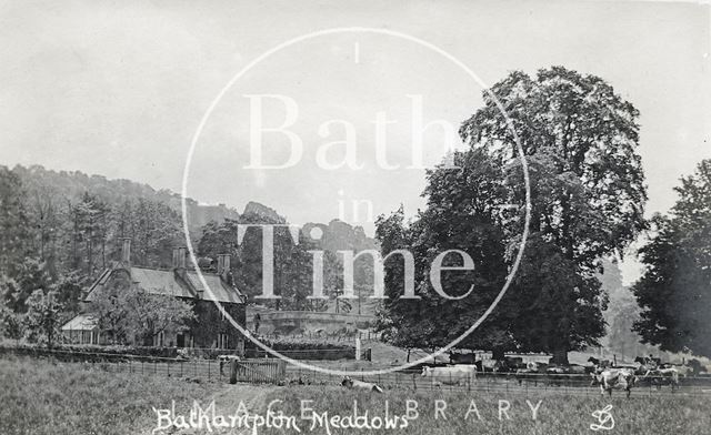 Farm and Bathampton Meadows, Bathampton c.1910