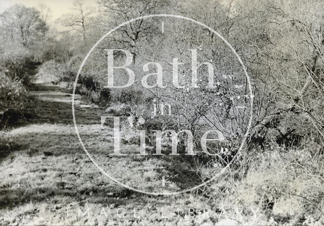 Towpath and watercourse of the Dorset and Somerset Canal between Edford and Stratton Common, Somerset c.1950