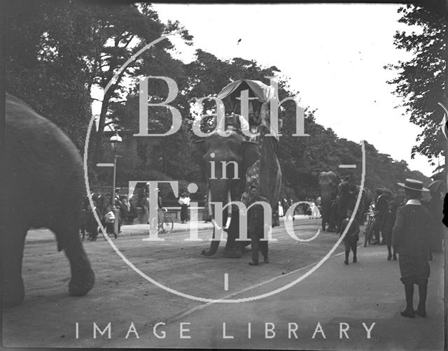 Procession with elephants, Bournemouth c.1900