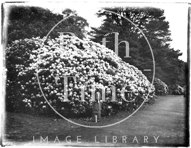 Longleat, Wiltshire c.1920