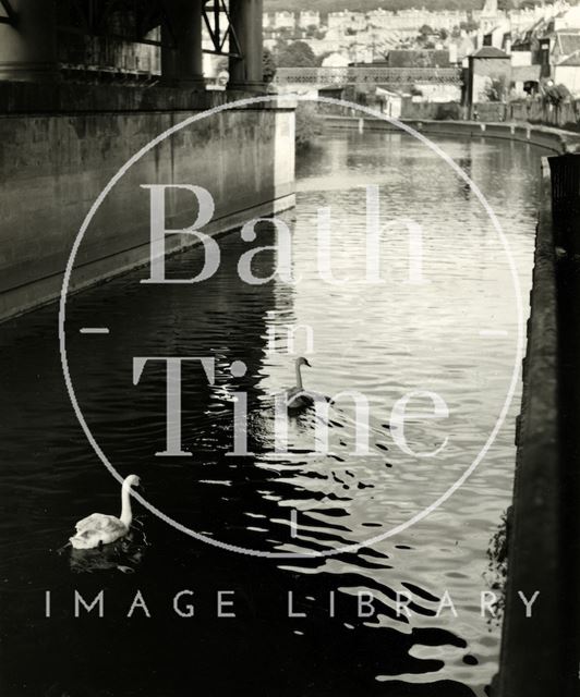 The River Avon, swans and bridges by Bath Spa Station c.1970