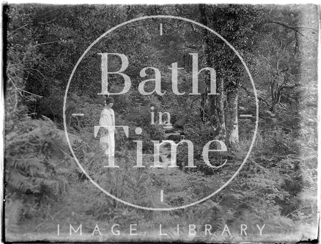 The photographer's wife Violet in Minehead Woods, Somerset 1926