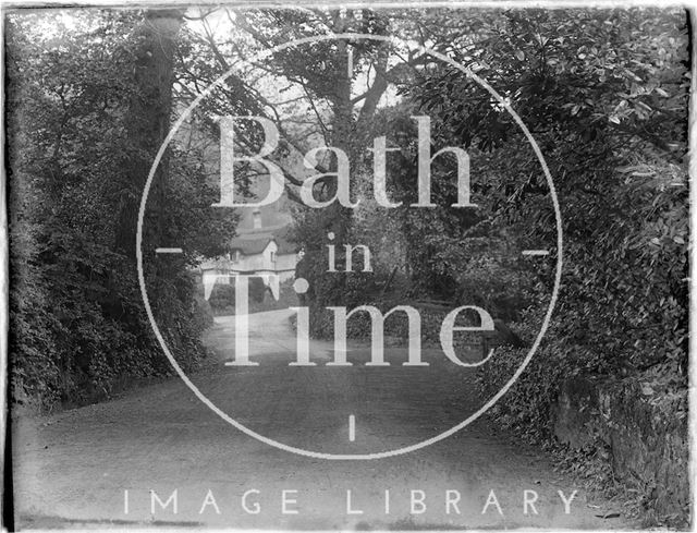 An unidentified leafy lane near Minehead, Somerset 1930