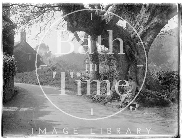 The photographer's wife Violet, possibly at Allerford near Minehead, Somerset 1926