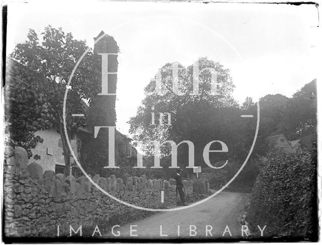 Tea gardens, Horner, Somerset 1926