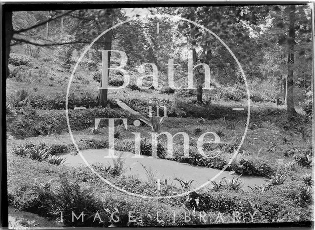 An unidentified woodland scene c.1930