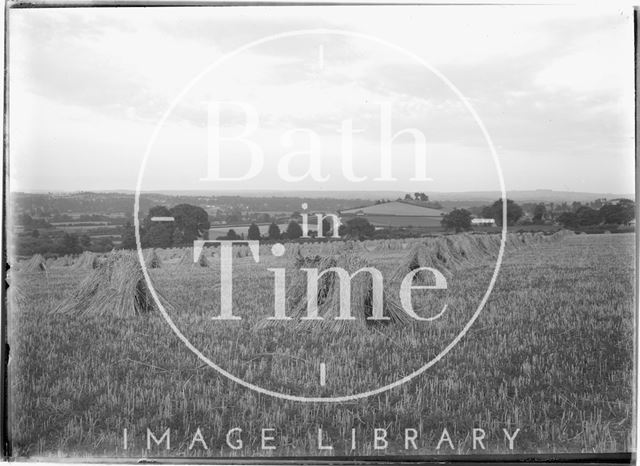 An unidentified harvest landscape, probably near Exeter, Devon c.1930