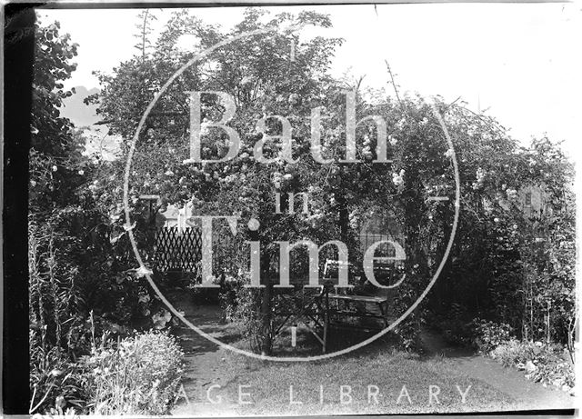 The back garden of 32, Sydney Buildings, Bath c.1915