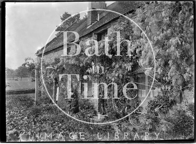 An unidentified cottage covered in wisteria c.1915