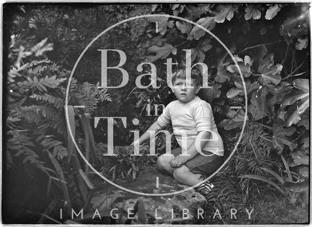 Portrait of a small boy in a garden c.1915