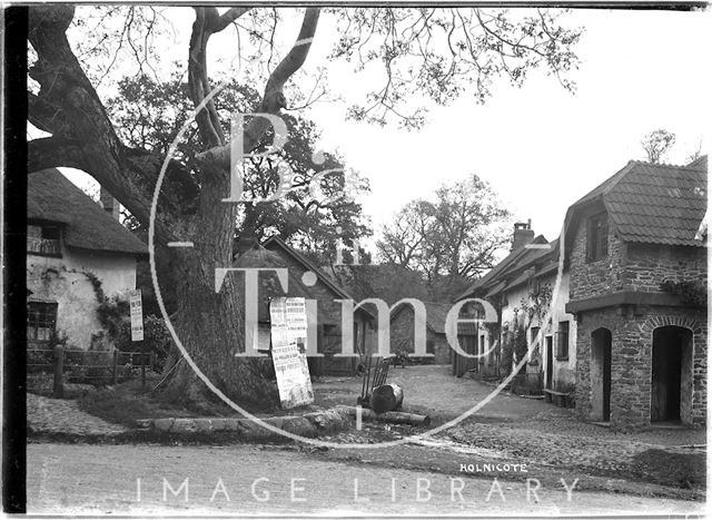 Holnicote near Minehead, Somerset 1907