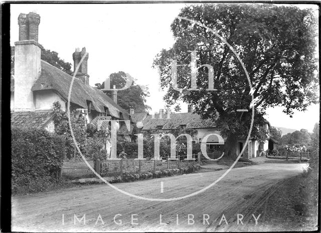 Budleigh Hill near Selworthy near Minehead, Somerset c.1912