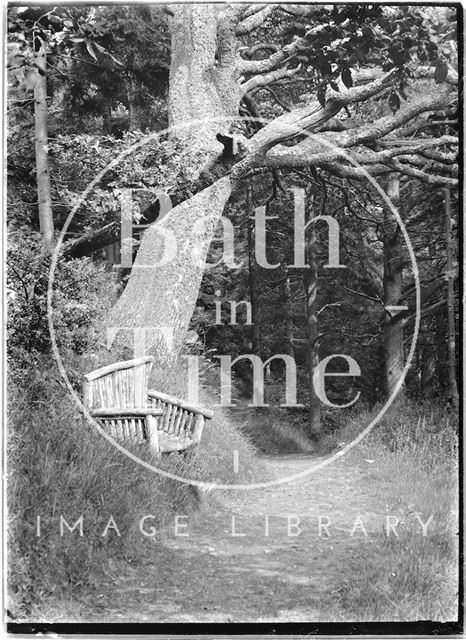 Rustic bench, Selworthy Woods near Minehead, Somerset 1912