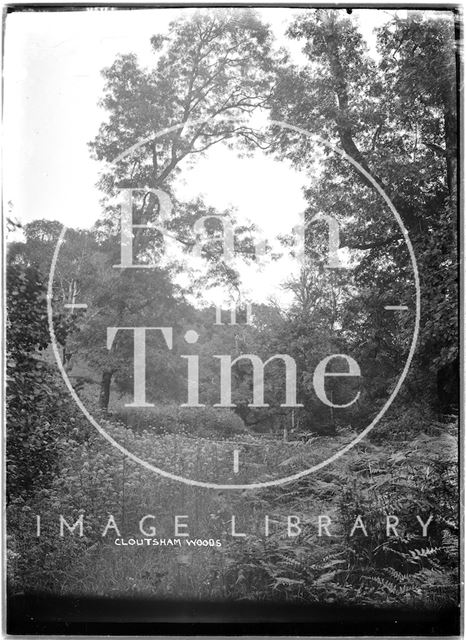 Cloutsham Woods near Minehead, Somerset 1909